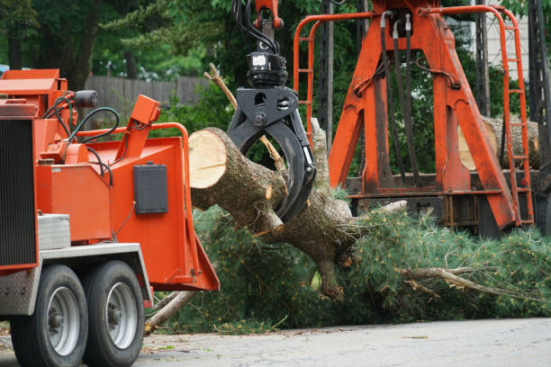 Best Utility Line Clearance  in Staten Island, NY